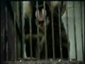 U Skripcu - Nove Godine - originalni spot iz 1983 ...