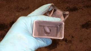 Easy Fix: Honda Element Evap Stuck Closed P2422