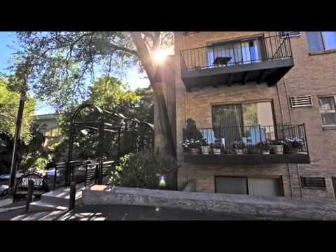 The Shadows in Mt. Adams