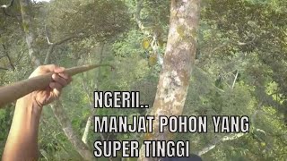 Download lagu POV: TEKNIK PANJAT POHON TRADISIONAL PANEN DURIAN mp3 Download lagu POV: TEKNIK PANJAT POHON TRADISIONAL PANEN DURIAN mp3