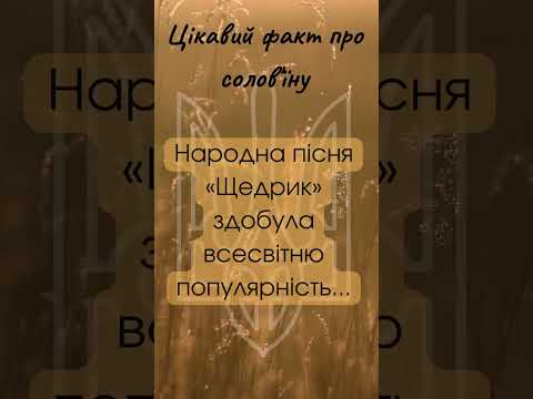 Українська пісня відома в усьому світі! #цікавіфакти #українською #щедрик #ukraine