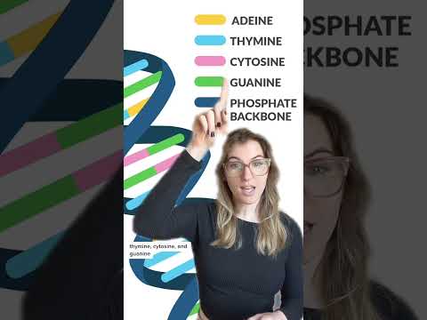 Learn the Structure of DNA!