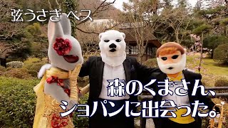 Download lagu The Bear in the Forest Meets Chopin [String Rabbit Beth] mp3