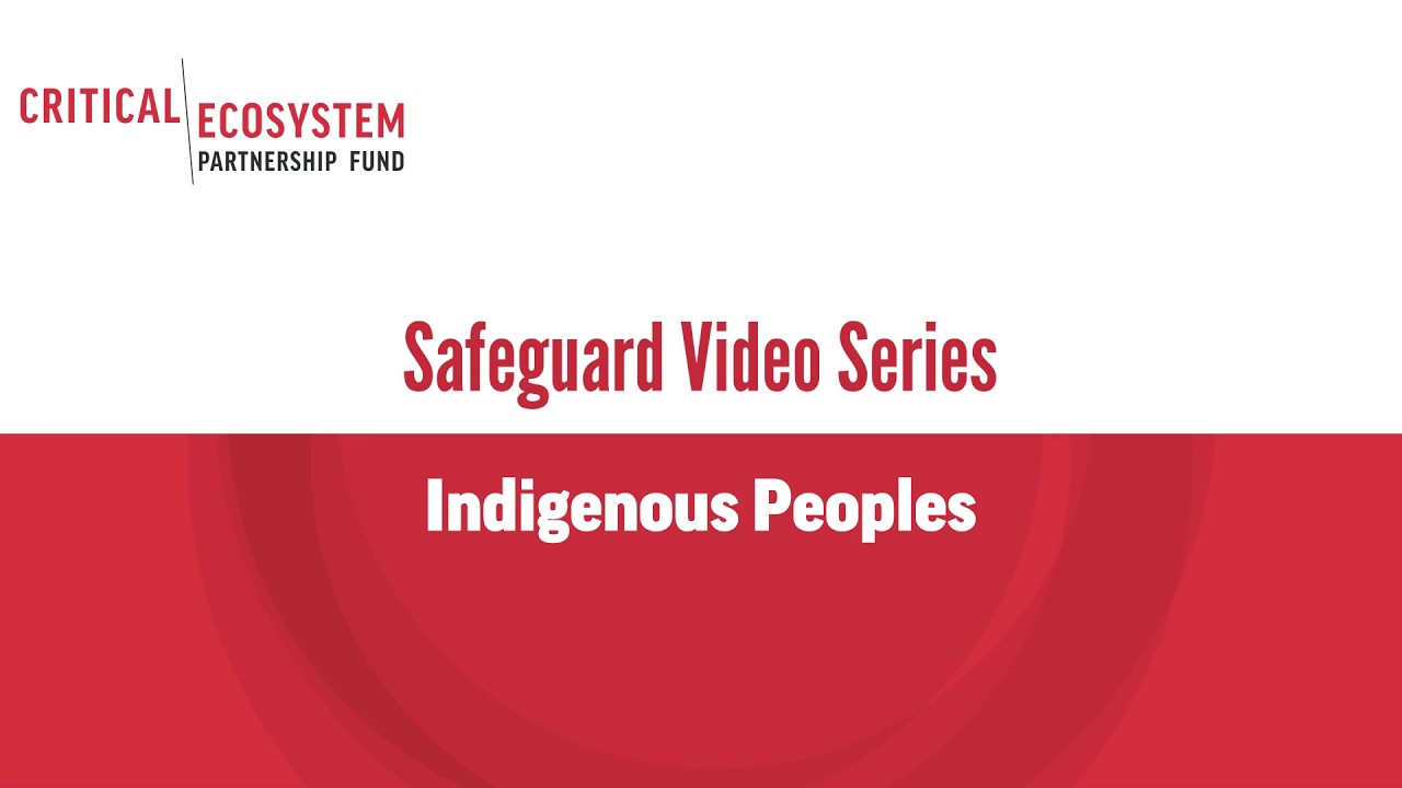 Indigenous Peoples | CEPF Safeguard Video Series