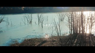 [閒聊] ClariS 新譯 コネクト MV (本人映像