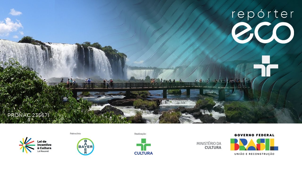 Repórter Eco | Restauração da biodiversidade | 18/08/2024