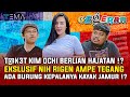 ADA TETE3K HAJATAN ️ KIM OCHI BERLIAN KOLEKSI BURUNG KEPALA JAMUR