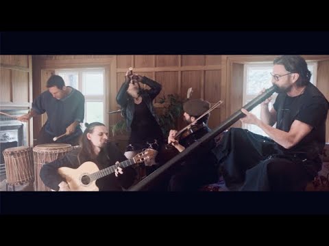 PerKelt - Robin and Parakeet [Official Music Video]