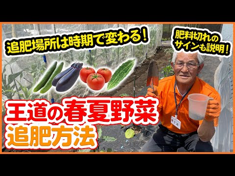 園芸 野菜を湯通しする方法は?