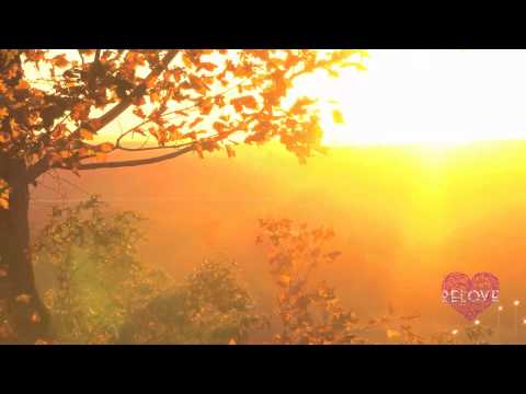 Sharon Phillips - Touch Me (Tiefschwarz Remix)