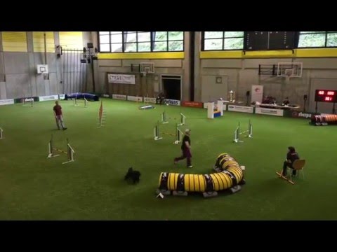 champdog münchenstein, 17. april 2016