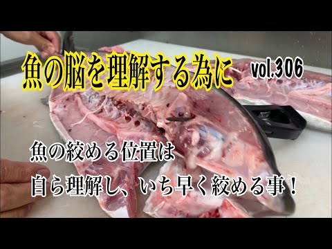 驚くべき魚の脳