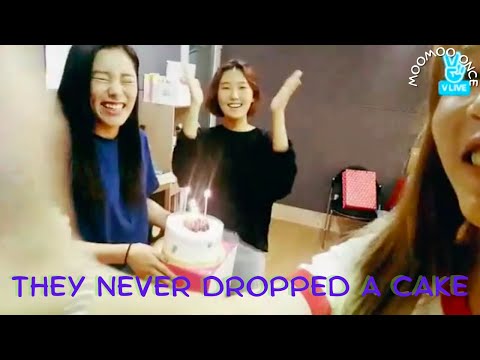Mamamoo never drops a cake