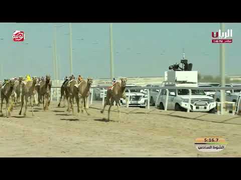  ش 6 (مجوخ) لـ محمد سالم الفهيده المري 7:32:21 , مهرجان الأمير الوالد 2026/2/5 لقايا الشحانية  
