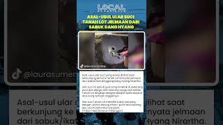 Ular suci Tanah Lot Diyakini Jelmaan Sabuk Brahmana, Berwarna Belang Hitam putih, Hidup di Gua Pura