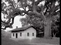 White Oak On The Hill