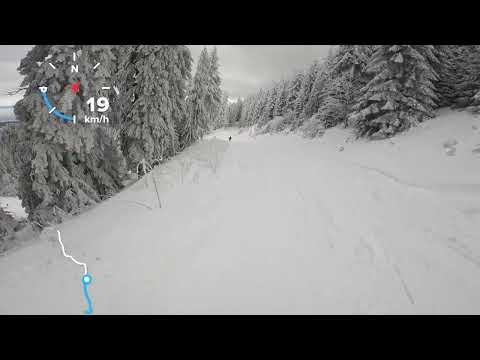 Poiana Brasov 2024-Partia Sulinar