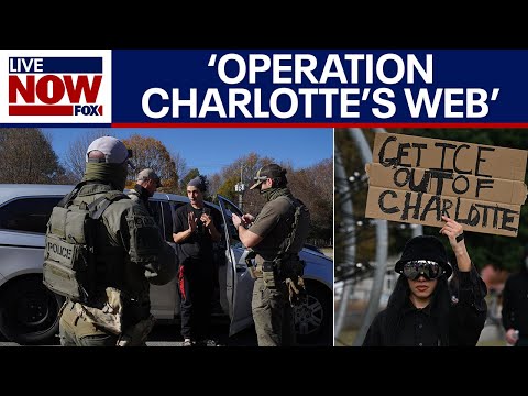 Video | Charlotte crackdown: DHS launches immigration operation, 130+ arrests made