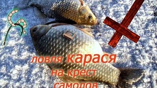 Карась ловля на жерлицы