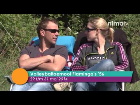 nimaSport - Volleybaltoernooi Flamingo's '56