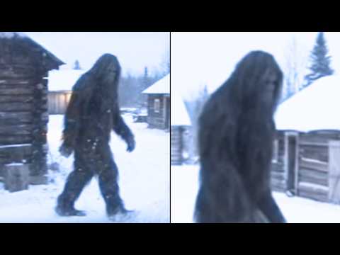 Hidden Bigfoot Lineage Has Been Protected in a Quebec Lumber Settlement Since 1963—Midwife Speaks Up