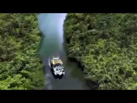 The River (1985) Trailer