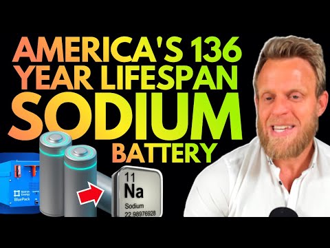 US KILLED ITS OWN SODIUM BATTERY LEAD! Natron's Sodium-Ion Breakthrough Fails