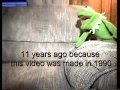 Kermit The Frog Audition