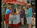 Homeward Bound 2 Lost In San Francisco Commercial 1996