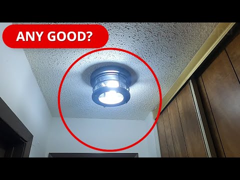 Neporal Full Spectrum Light Bulb (Review)