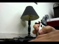 Destroyerguy101 Destroying Dvds