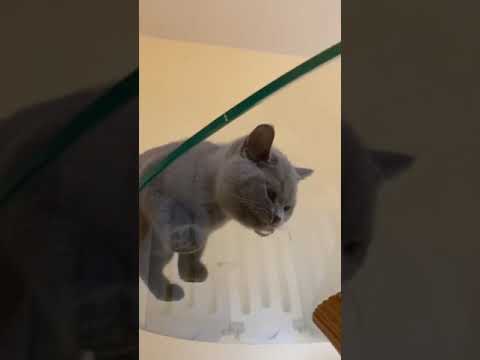 31 октября 2020 г.