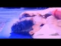 Shakeela Mallu Plus Size Model Hot Video