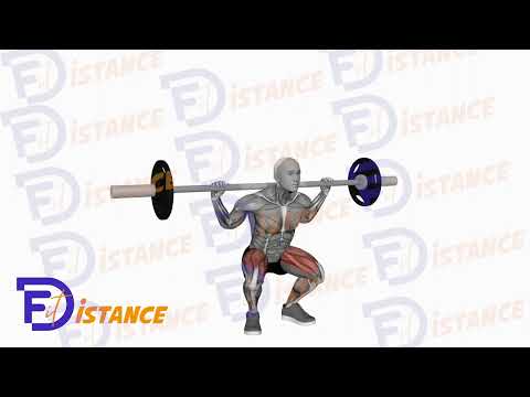 Squat avec pause à la barre - Exercice Squat avec pause à la barre en vidéo