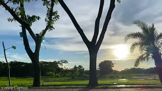 Beautiful Village nature || pangsha Chowrasta || Barisal || Bangladesh 💚পাংশা চৌরাস্তা বরিশাল|| 2024