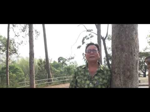 Prem Dhoj Pradhan- Para Laijau Phool Haru Cover By Rabi Hada