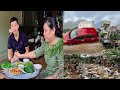 Typhoon Bualoi S Destruction My Family And Our Town Begin Recovery