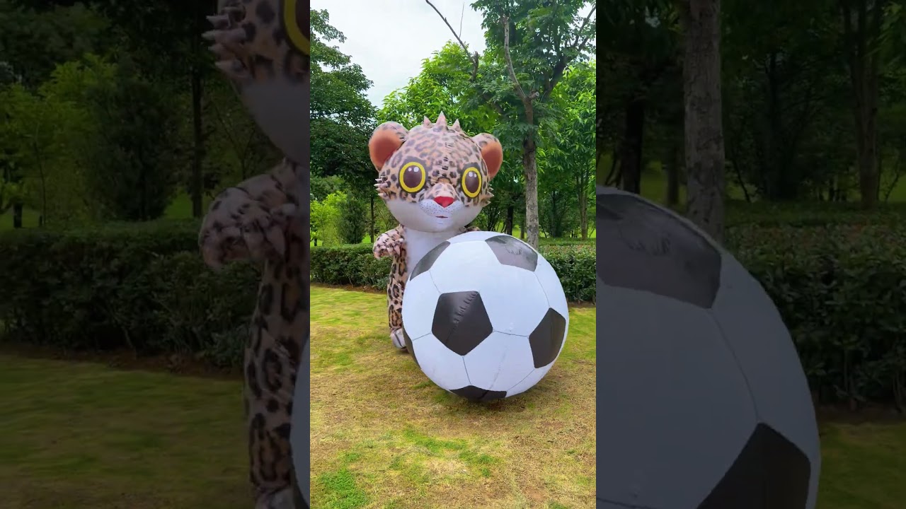 Video Placeholder