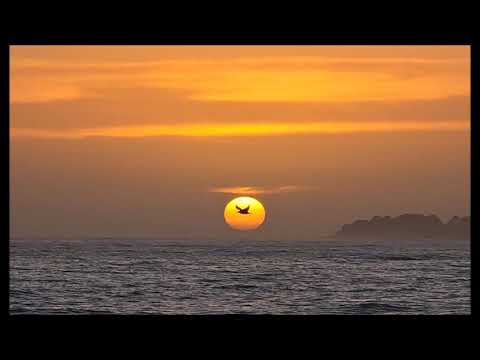 70s 80s FRENCH HITS (from YANN MULLER DOUMEA REMIXES)