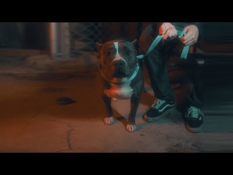 Doc Samson - Barking At The Moon [ Music Video ]