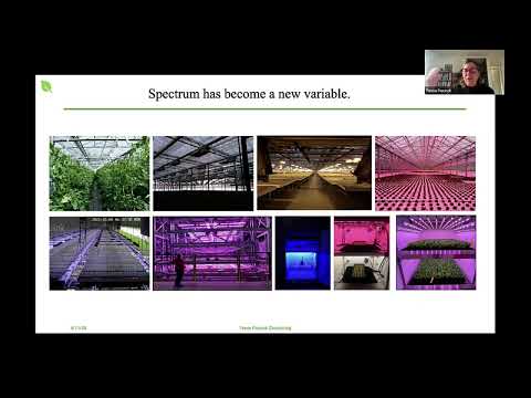 #78 - Photobiology of Plants: The Many Shades of Light