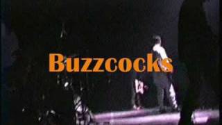 Buzzcocks Do it Live 1994