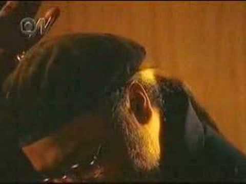 Coisa de Jorge - Líder dos Templários