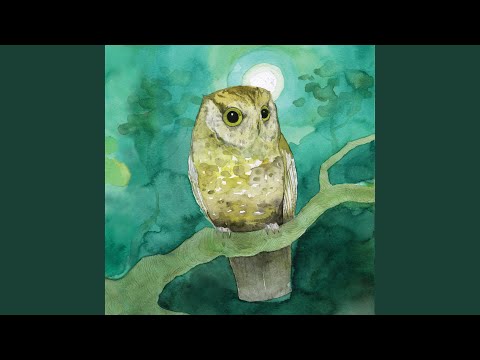 All This to Say - Sleeping at Last