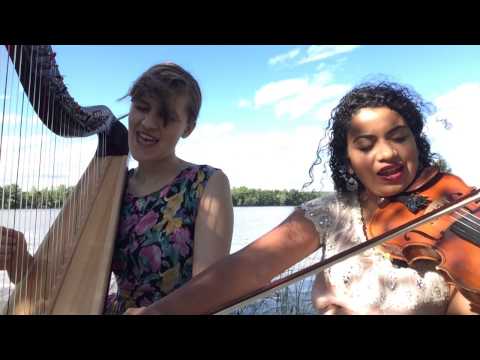 Jason Mraz - I'm Yours (harp violin cover)