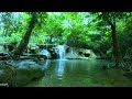 Cozy Forest Stream Sound Majestic Sounds Of Birds Relaxing Sounds ASMR