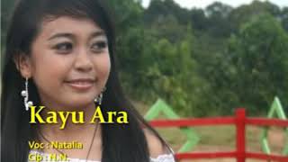 Download lagu lagu Dayak kayu Ara kalimantan barat Merdu mp3