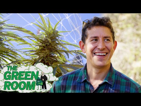 Starting a pot business in California: A cautionary tale | The Green Room