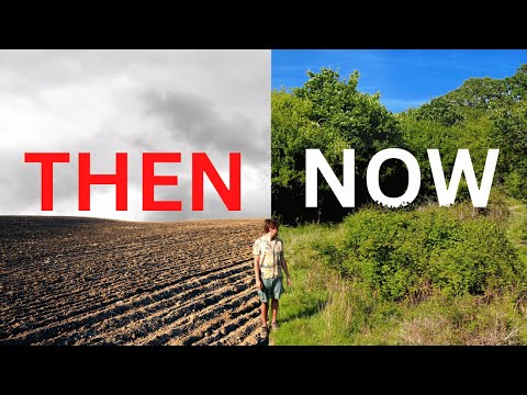 They transformed this dead land to wilderness