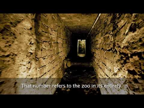 #The Zookeeper's Wife: Interview with Teresa Żabiński